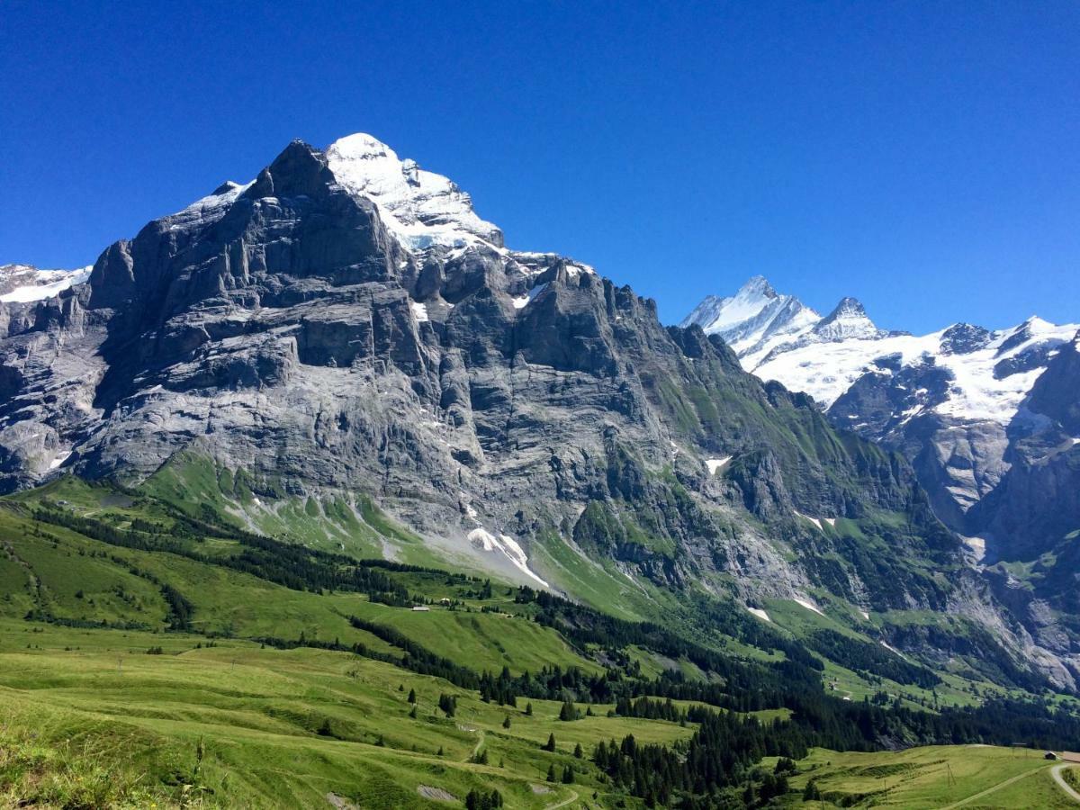 Wetterhorn, Eiger, Jungfrau, Amazing! Apartamento Grindelwald Exterior foto